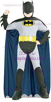 Animated Batman Kostüme